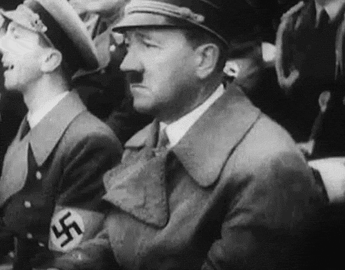tumblr_n50o9dSfQ61sa8d5fo3_500.gif