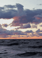 black and white art GIF