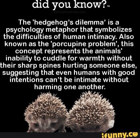 7FF0A924 D4B3 4AC3 873E C316730A68BF