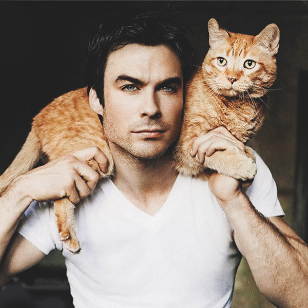 ian-somerhalder-cat-photo1.jpg