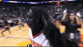 come again phoenix suns GIF by NBA