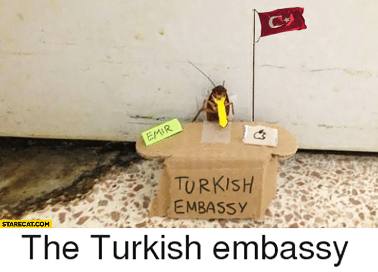 the-turkish-embassy-emir-cockroach.jpg