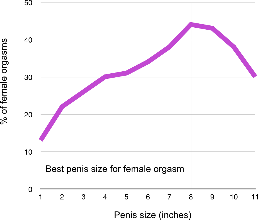 best-penis-size-graph.png