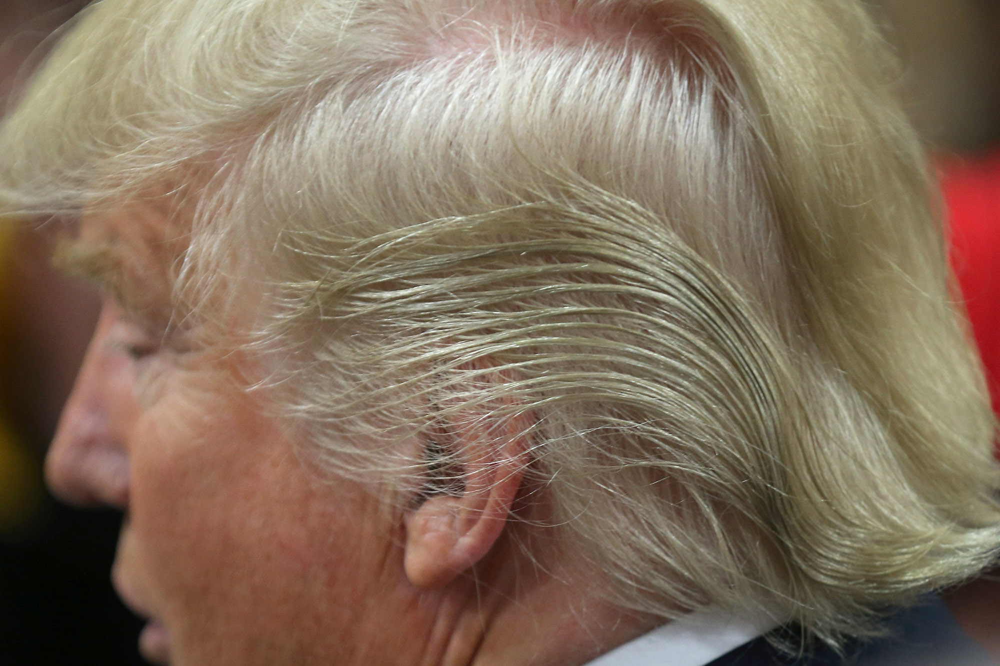 trump-hair.jpg