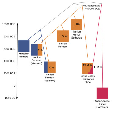 www.sciencedirect.com
