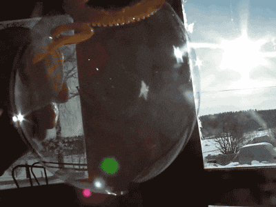 giphy.gif