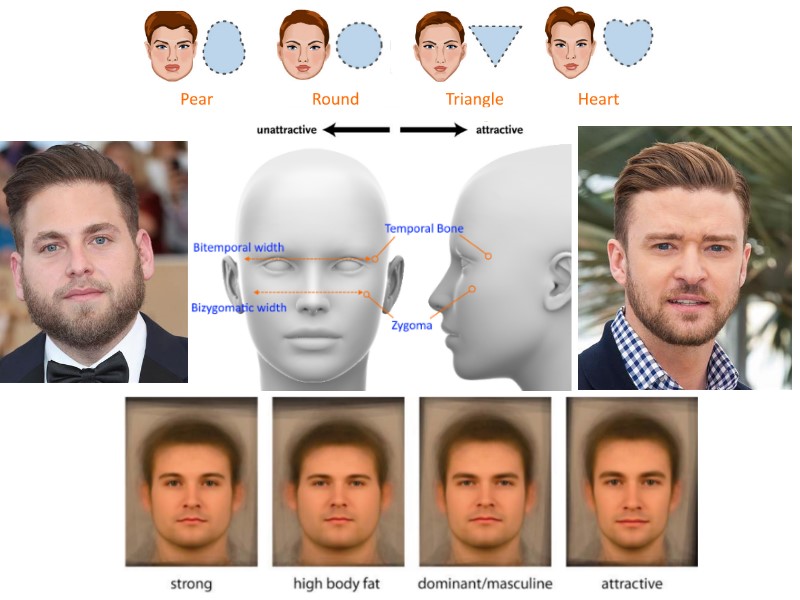 bitemporal-vs-bizygomatic-width-and-attractiveness-among-males.jpg