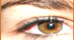 Screenshot 2026-07-10 225918.webp