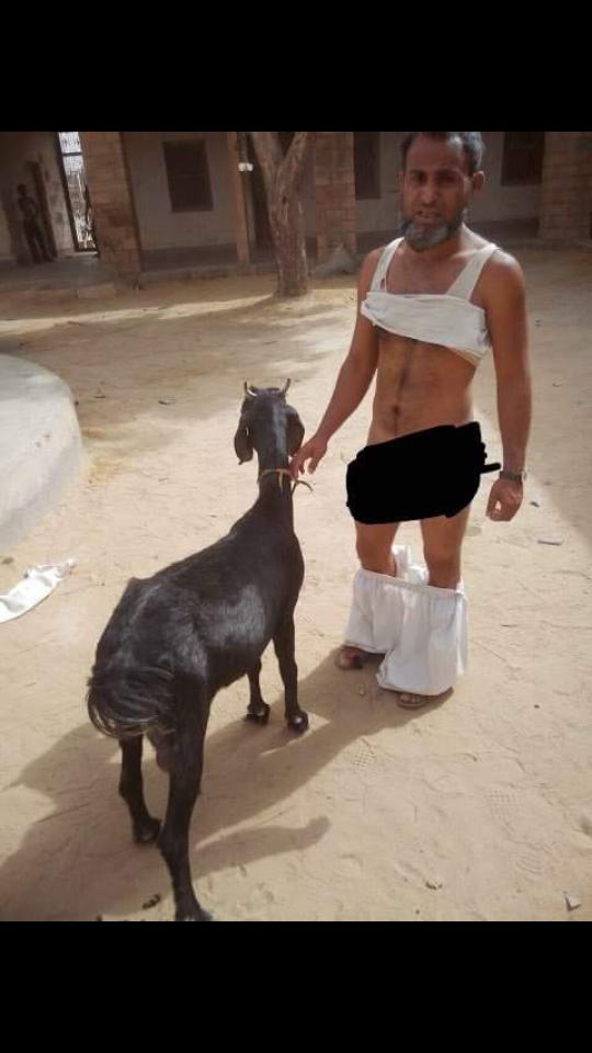 Bhupesh on X: @ZeeNews sale harami logo muslims was fucking goat as wild  mohammed was fucking animal, own sisters, 7 yrs girla  http://t.co/IjW6Q5QsXV / X