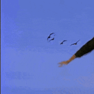 YcVNAYp.gif