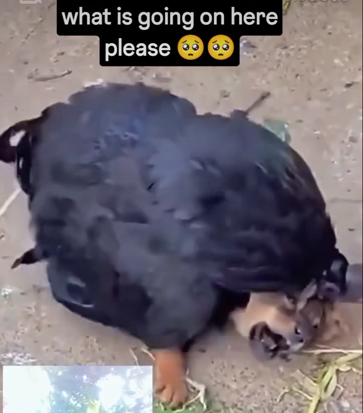 1750689143728