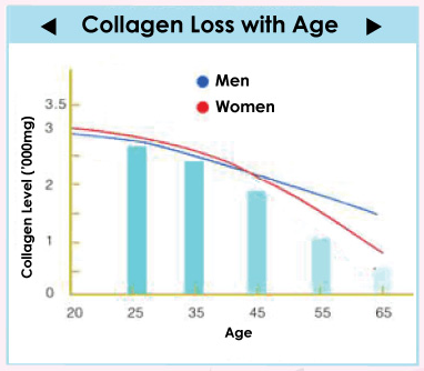 collagen+loss+with+age.png