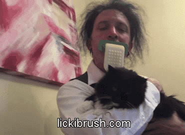 90f6e5710c8c050f8da6144080ed26b8_original-gif.12342
