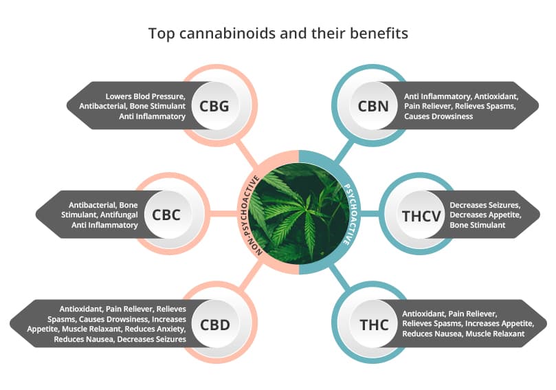 top-cannabinoids-benefits.jpg