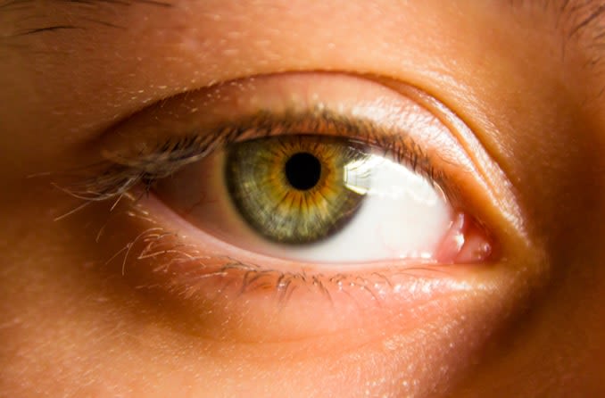 hazel-eyes-678x446-compressed.jpg