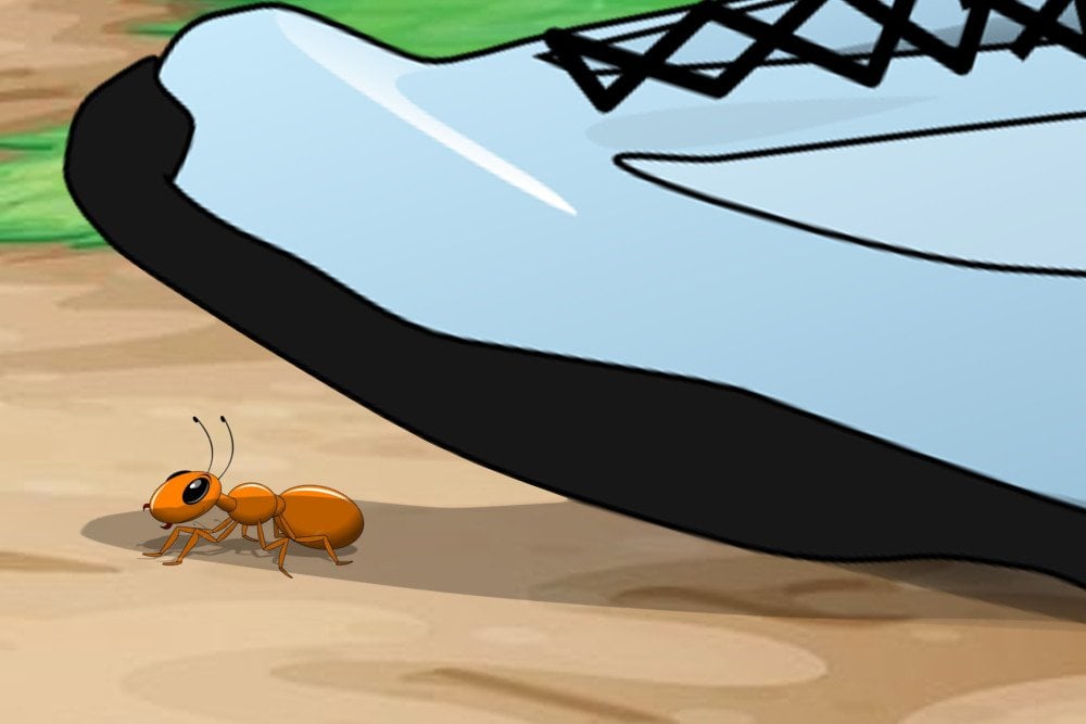 Foot-on-ant.jpg