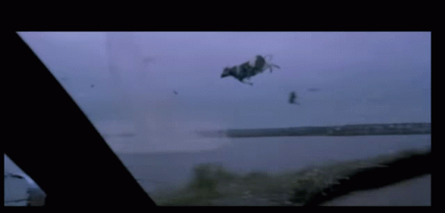 Cow Flying Cow GIF - Cow Flying Cow Twister - Discover & Share GIFs
