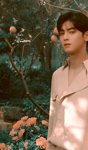 tumblr_pl1tbkmTQR1vd5f2io7_r1_250.gifv