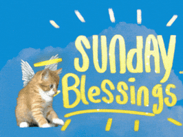 Bless Happy Sunday GIF