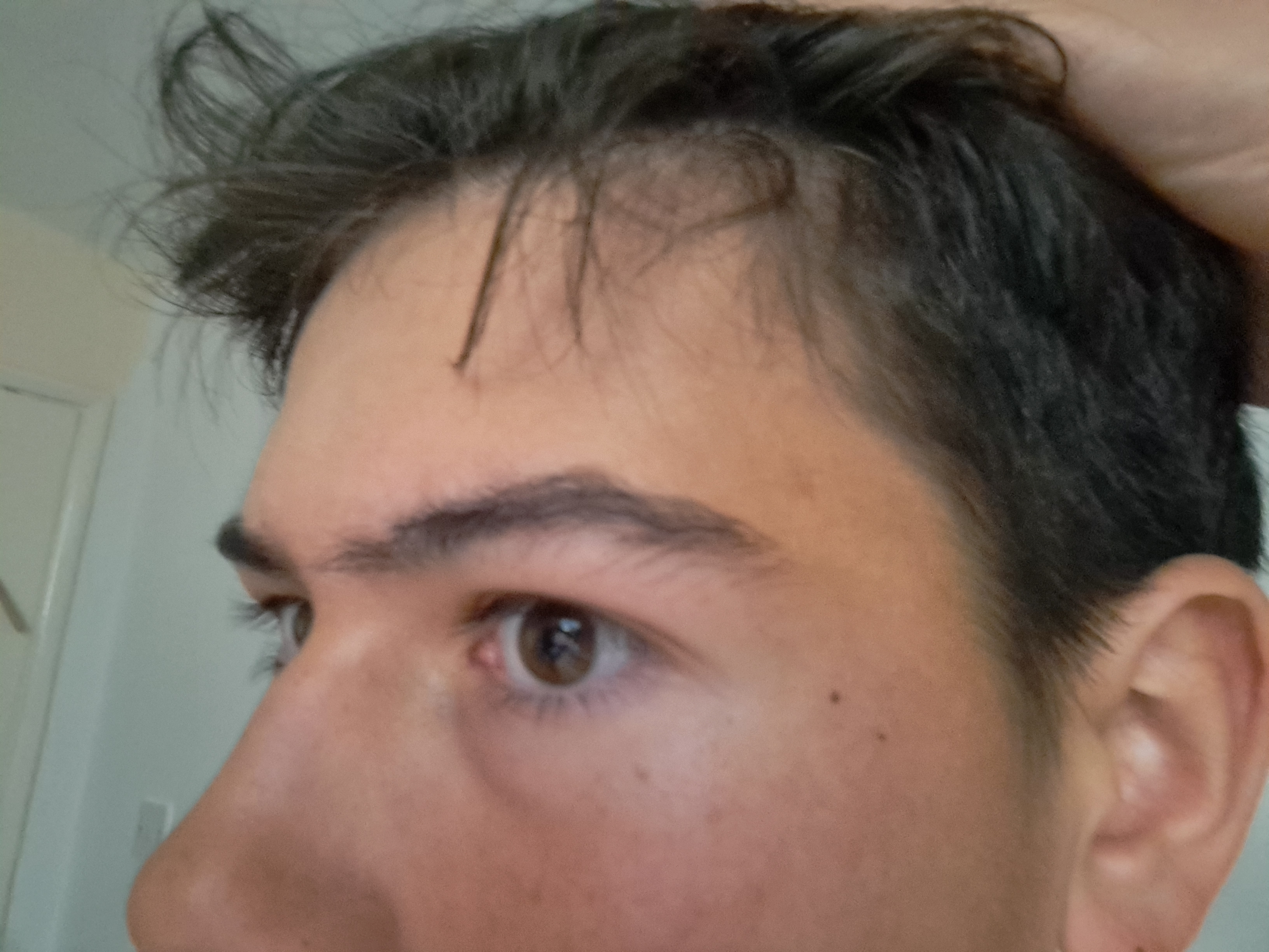 6926676_1000040059.jpg