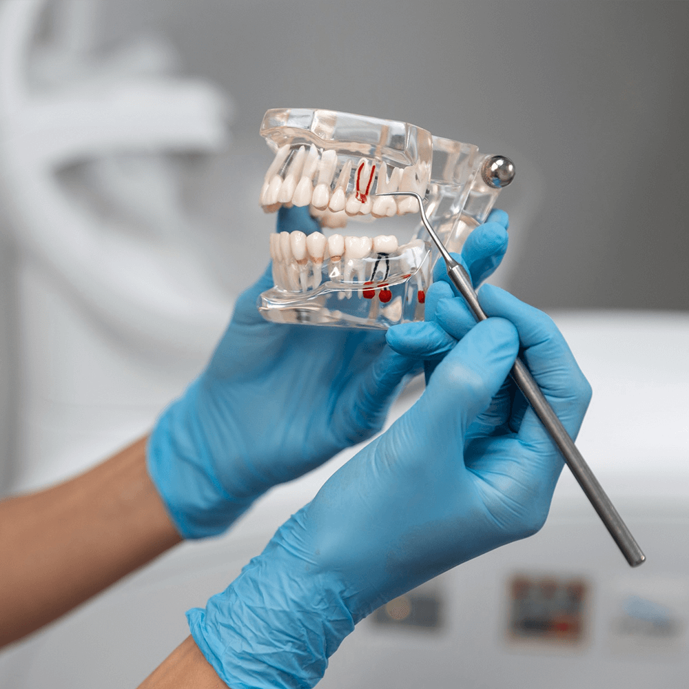 ortodoncijademirovic.ba