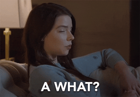 giphy.gif