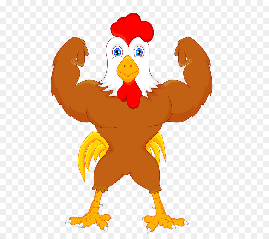 kisspng-chicken-cartoon-rooster-illustration-bodybuilding-cock-5a79bc2ace83a6.1045235215179274668459.jpg