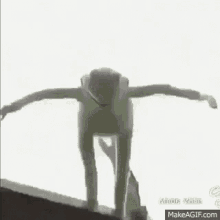kermit-frog.gif