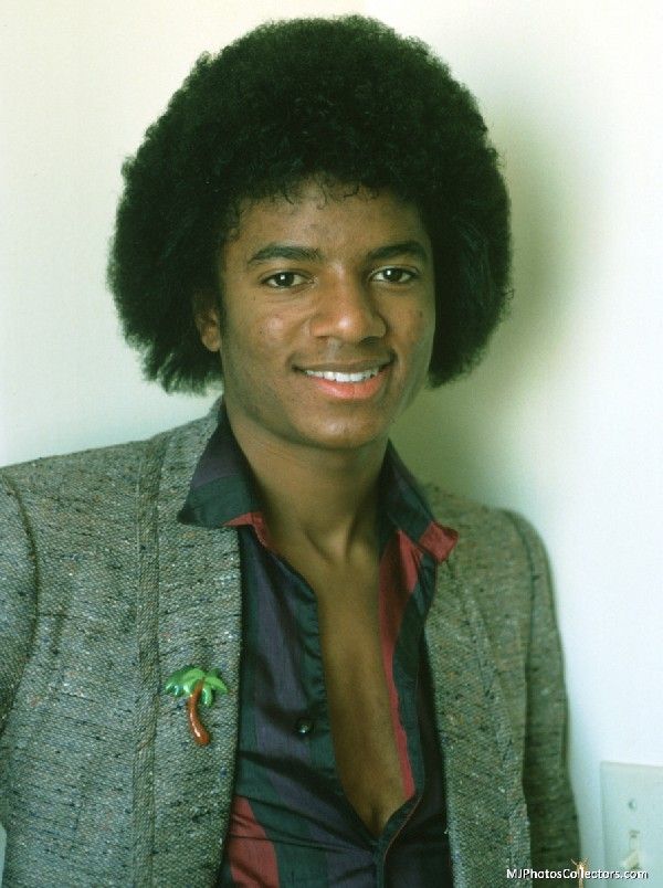 Michael Jackson 1979 by Chris Wolter | Michael jackson poster, Jackson  family, Michael jackson