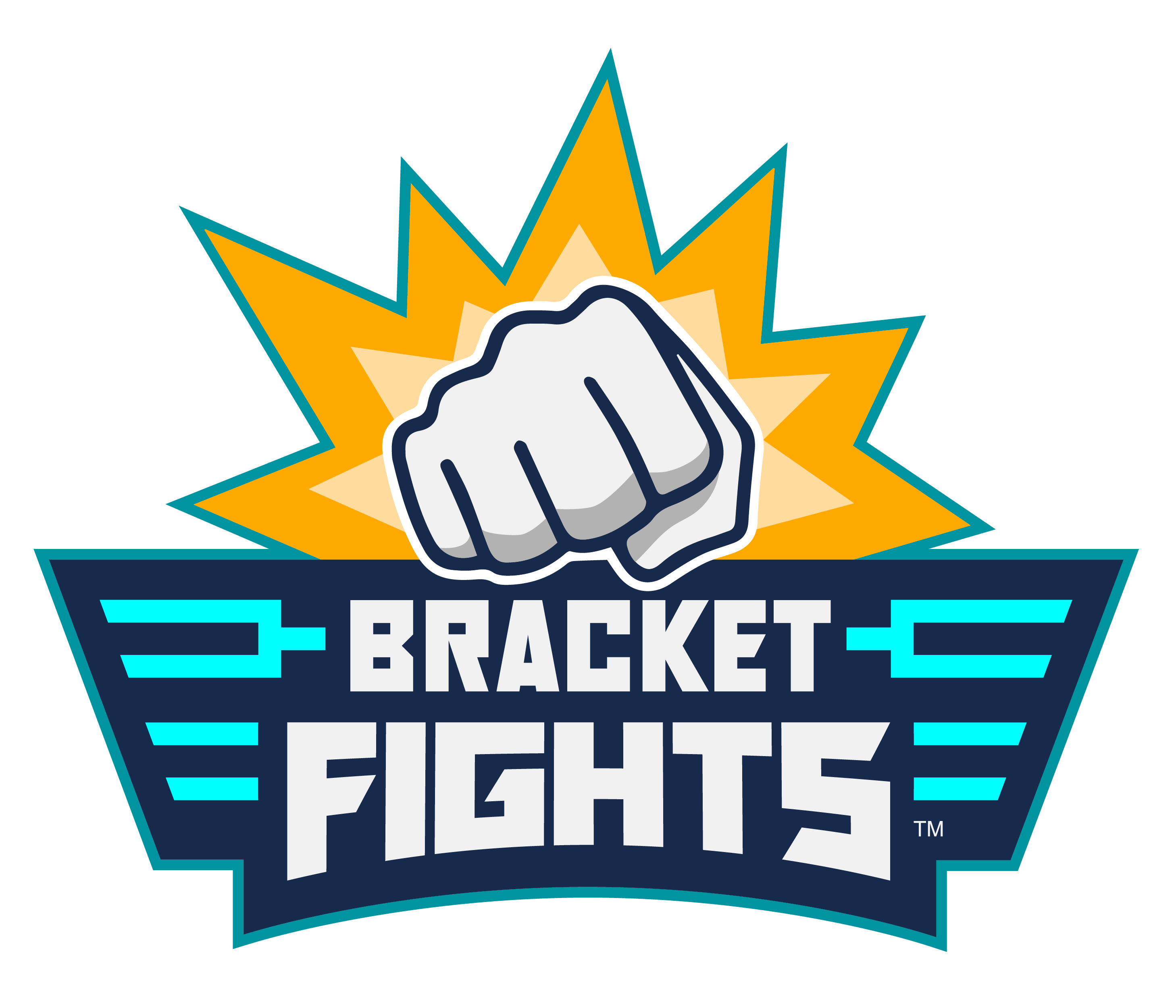 bracketfights.com