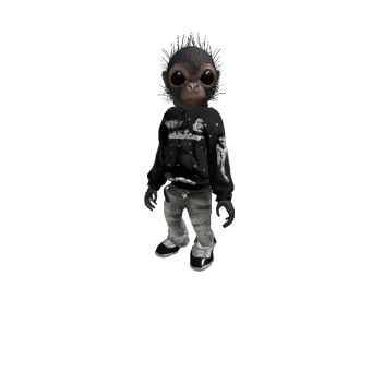 www.roblox.com