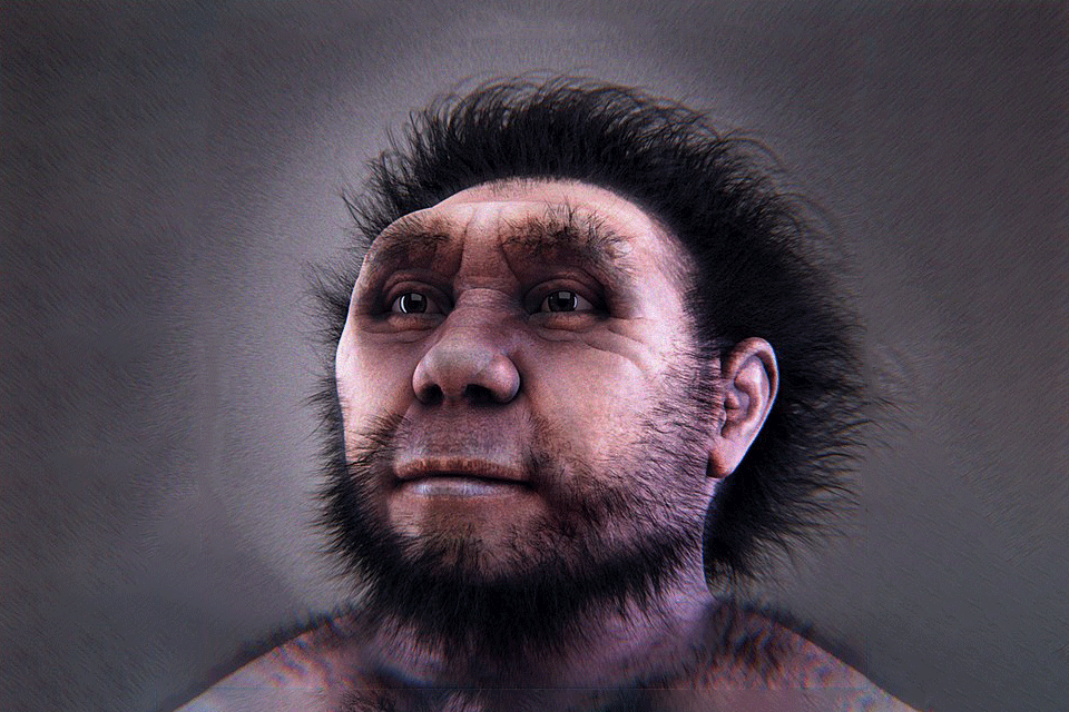 600px-Homo_erectus_pekinensis1.png