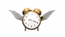 clock-alarm-clock.gif