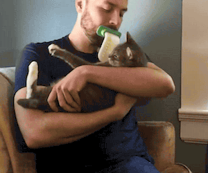 lj8apgd-gif.12339