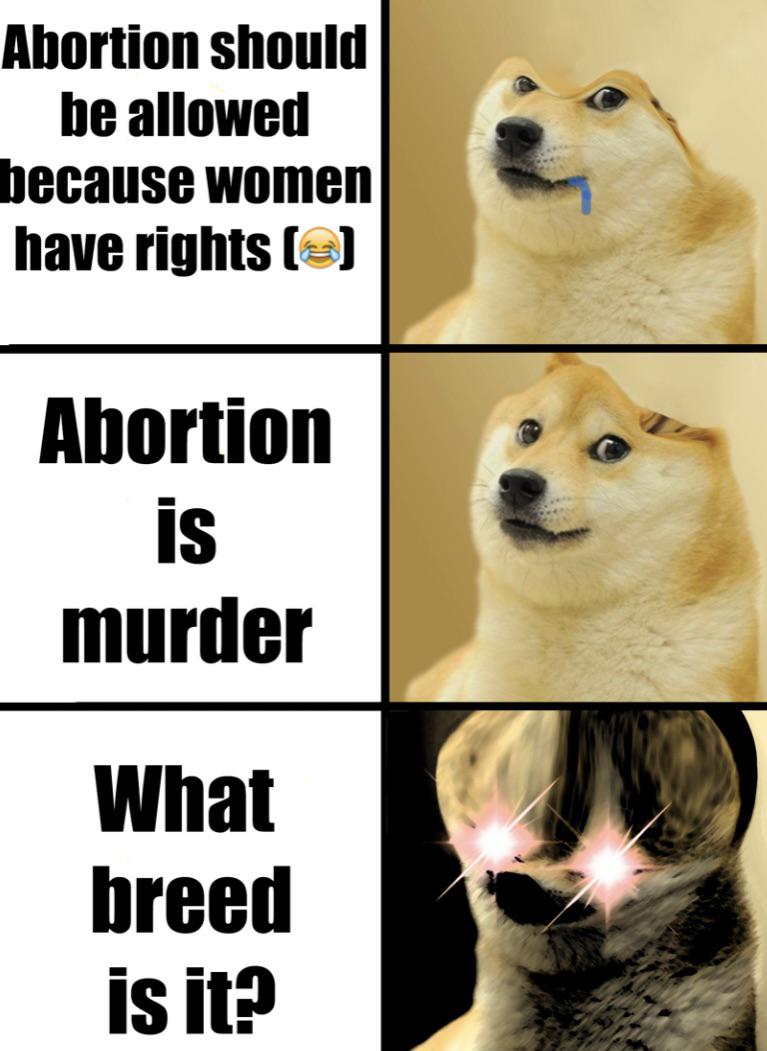 5ba.jpg
