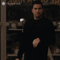dont remember schitts creek GIF by CBC