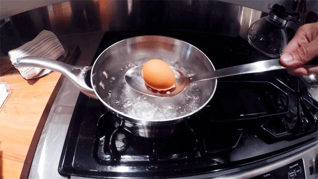 BoiledEggs-03-EggsinPan.gif
