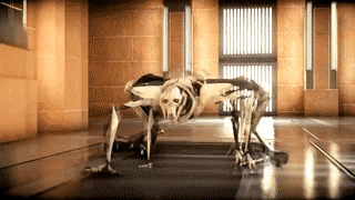 Please Epic, make this emote for grievous : r/FortNiteBR