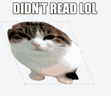 didnt-read-lol-pluha.gif