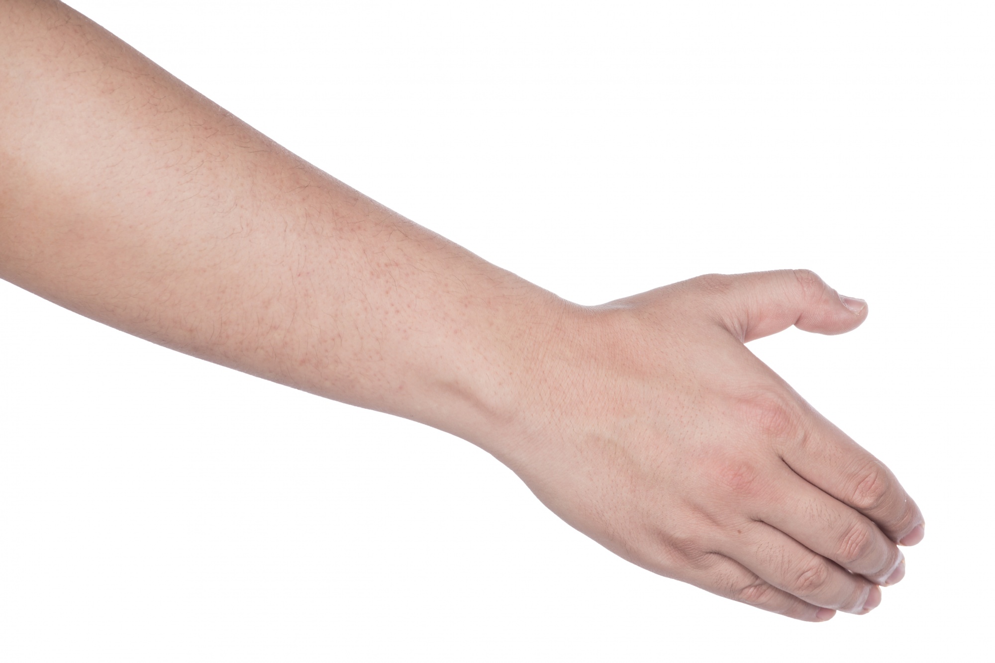 collection-woman-hands-white-background_1088-807.jpg