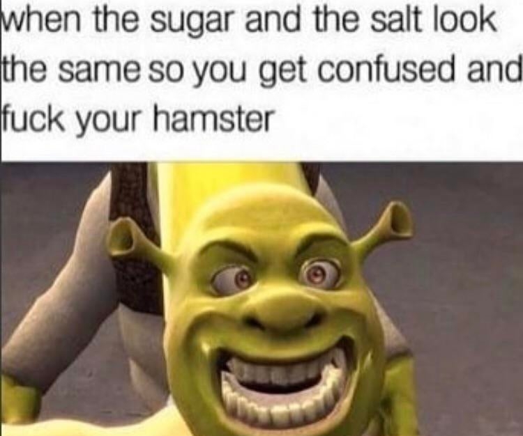 hmhelzT.jpg