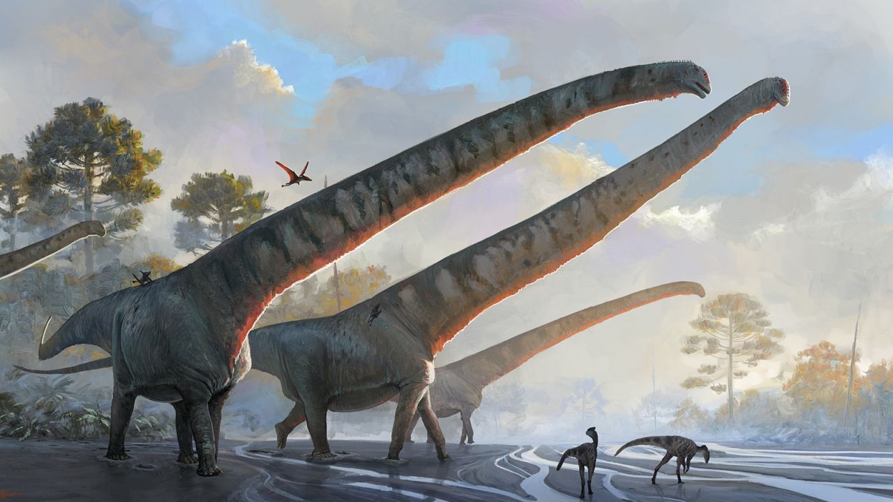 230314153048-02-dinosaur-record-long-neck.jpg