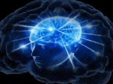 brain-meme-you-did-not-have-to-cut-me-off.gif