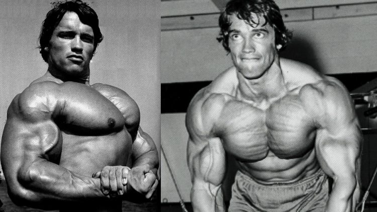 arnold-chest-master-750x422.jpg