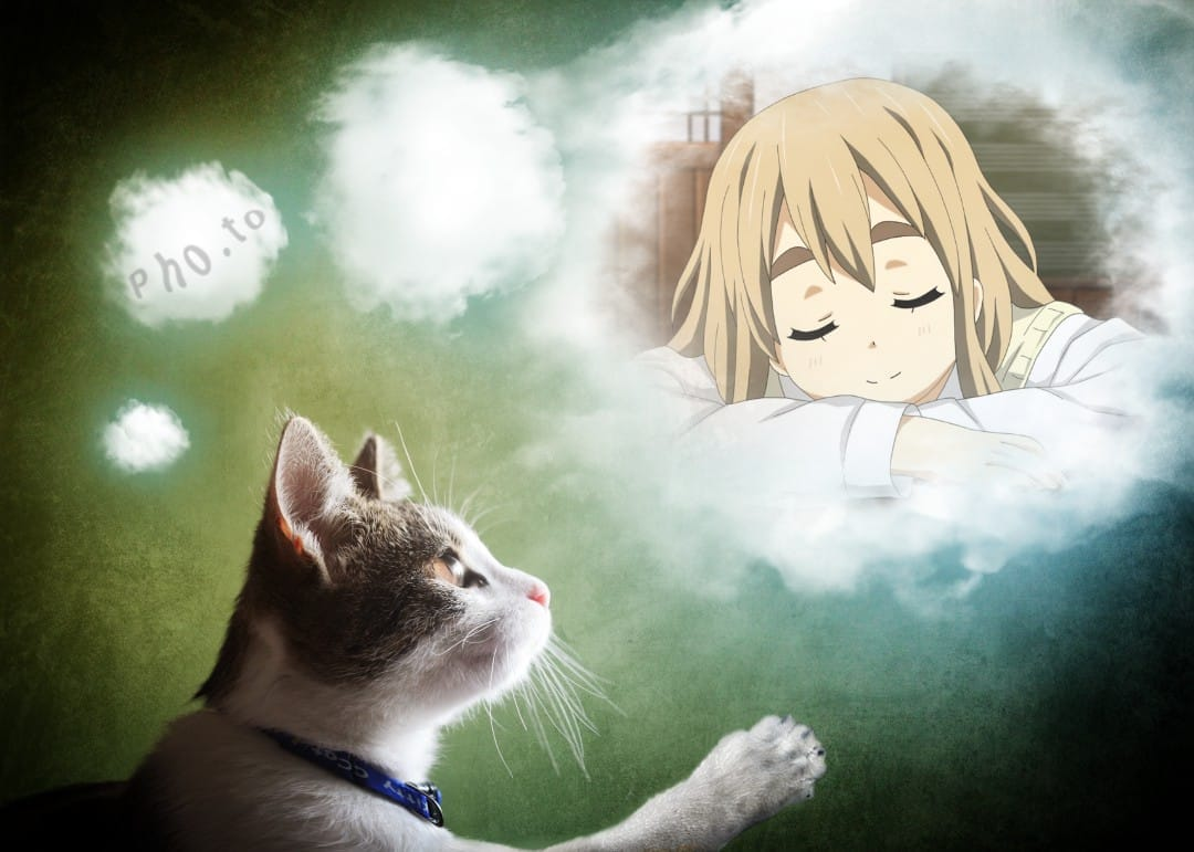 tgC4qQ7.png