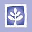 stamforddentist.com