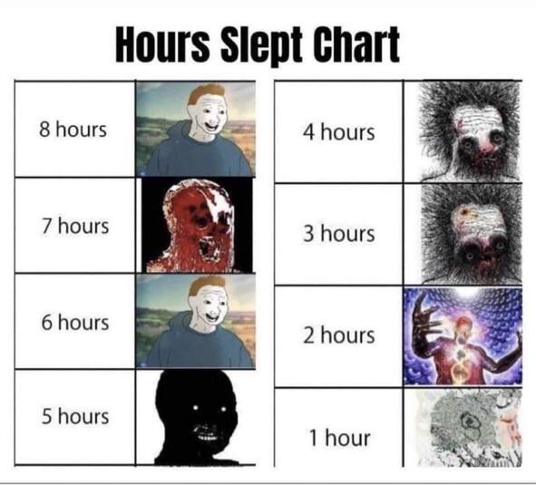 Yo a quick poll. How many hours do you sleep? : r/shitposting