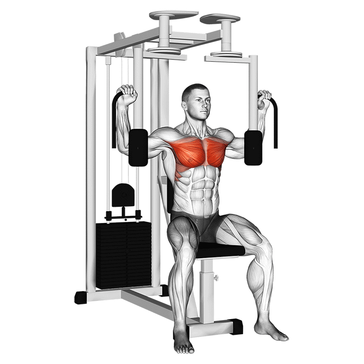 List Of Gym Chest Exercises For All Levels (with Pictures) | Machine chest  press, Workout muscle