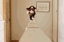 pirate-kitty.gif