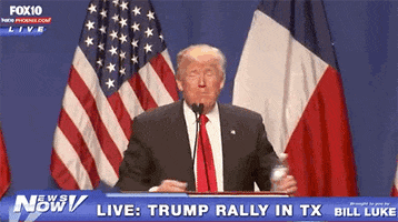 Donald Trump GIF